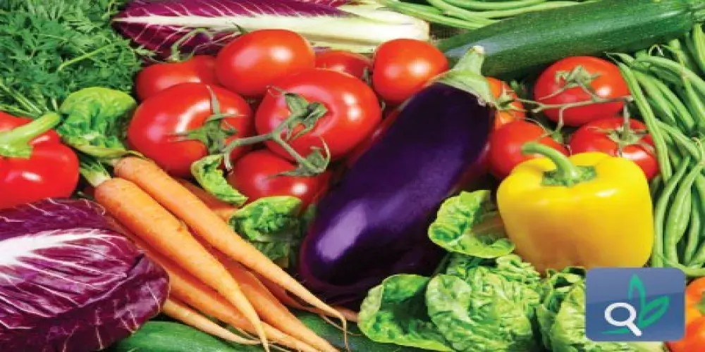  غذاؤنا في رمضان  