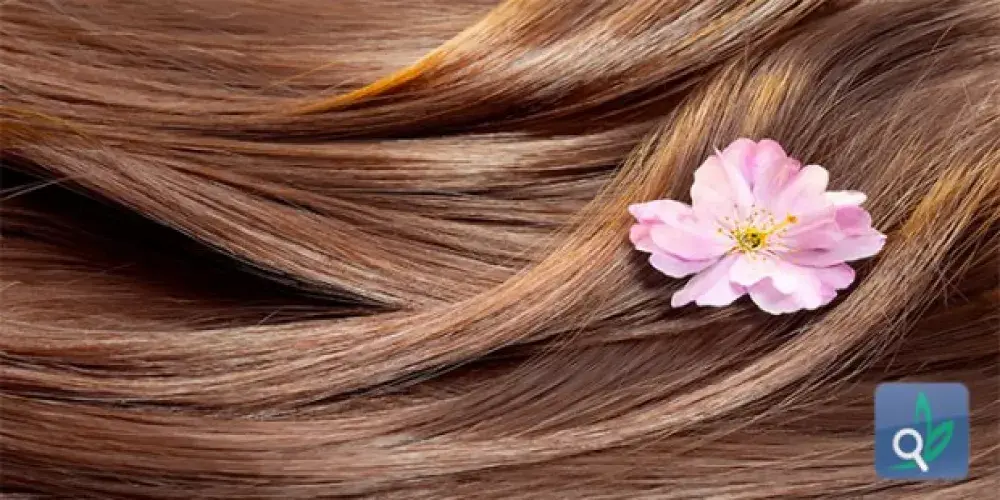 الغذاء وصحة الشعر  