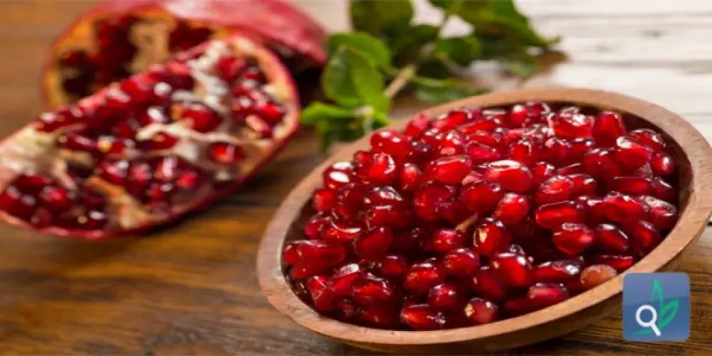 الرمان : الفاكهة المعجزة منذ عصور 