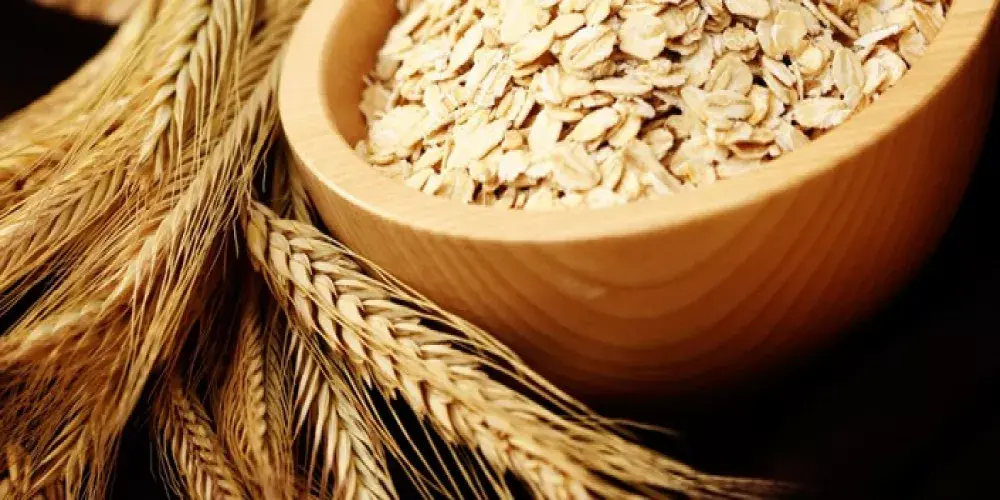 فوائد الشوفان الطبية