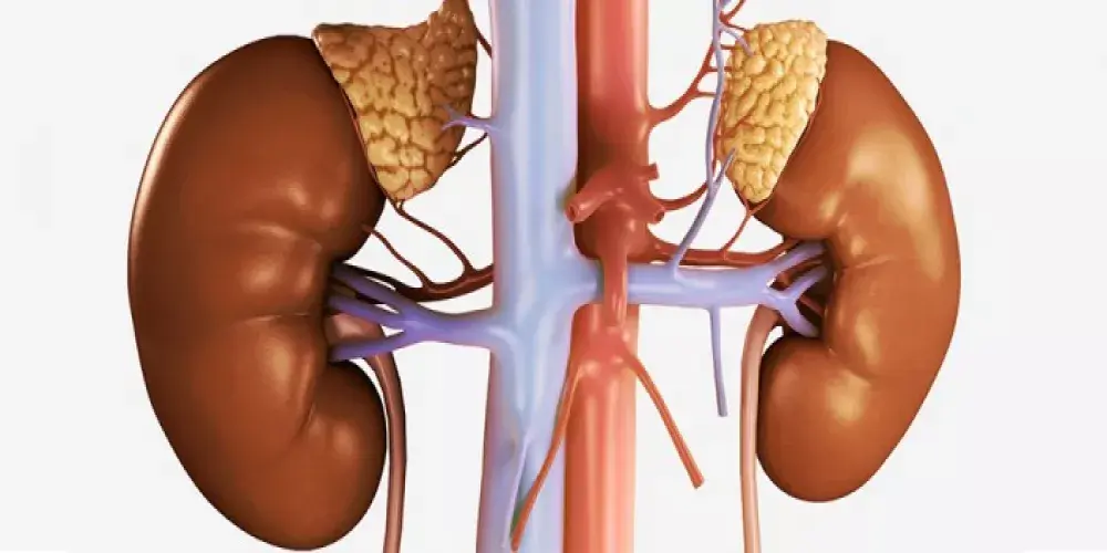 (أديسون)؛ الطبيب الحزين والمريض الهزيل 