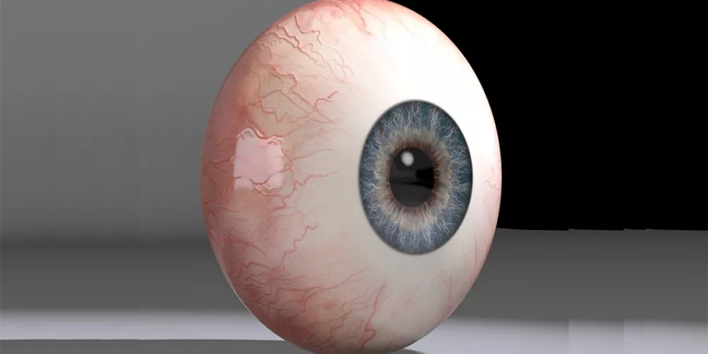 معلومە مفیدە