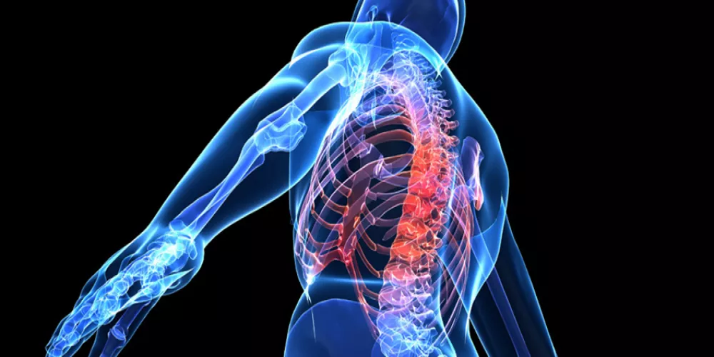 معلومە مفیدە