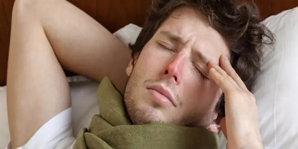 معلومات حول حمى التيفود