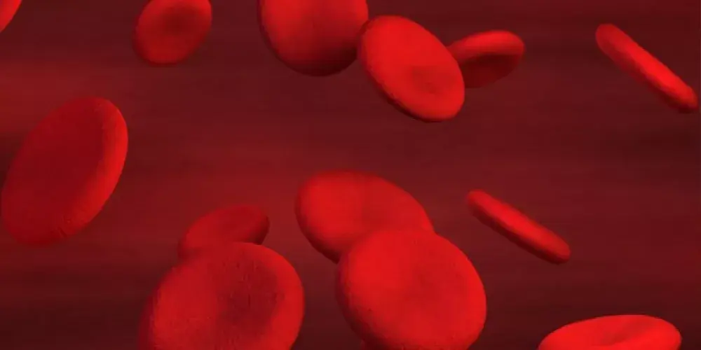 القلب الحديدي؛ قلب ضعيف