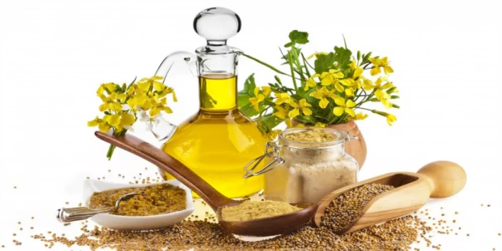 Chì prublemi di capelli chì tratta l'oliu di mustarda? | medicale