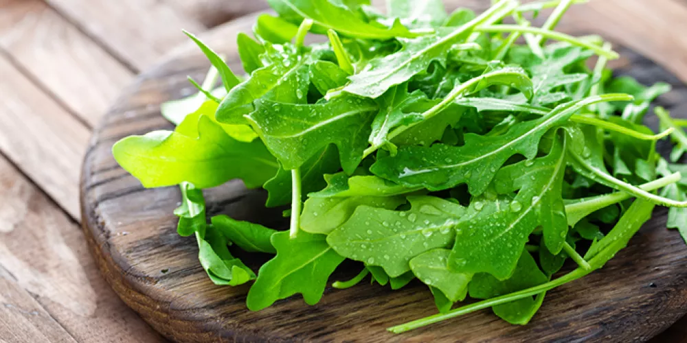 19 فائدة يجب أن تعرفها للجرجير