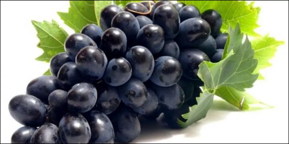 العنب الأسود: فوائد عديدة لا حصر لها!