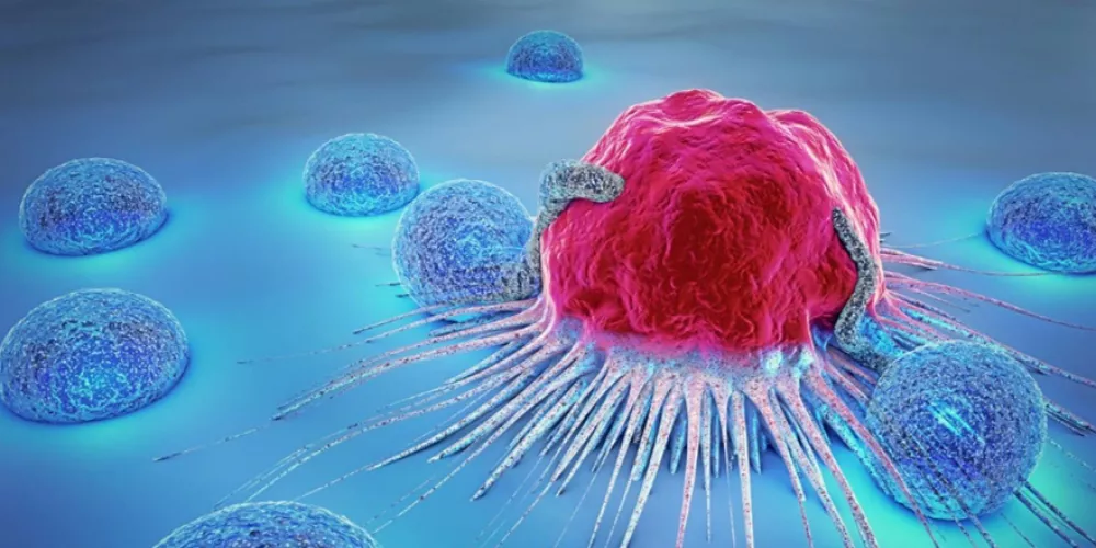 معلومات عامة عن السرطان