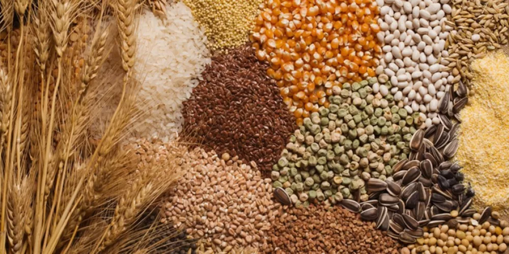 انواع الحبوب وأهميتها الغذائية وفوائد الحبوب الكاملة | الطبي