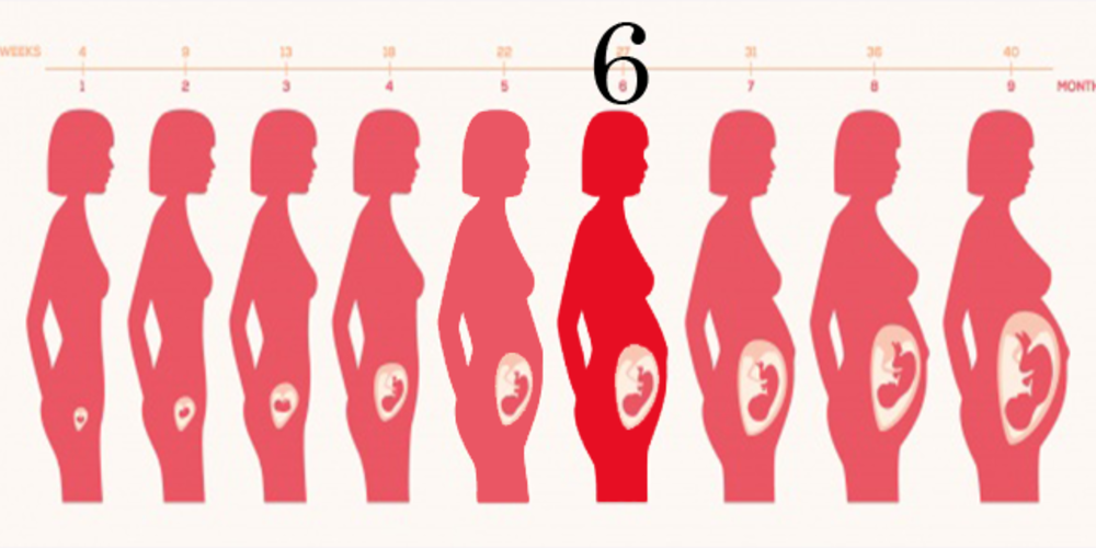الشهر السادس كم اسبوع: كل ما تحتاج معرفته!