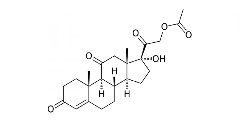 ما هو الكورتيزول