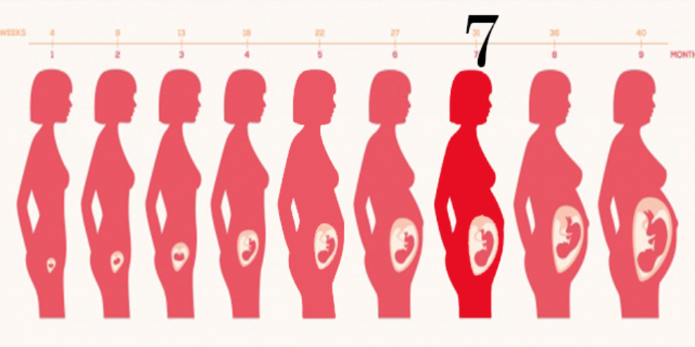 حجم الجنين في الشهر السابع بالصور: دليل شامل لكل أم