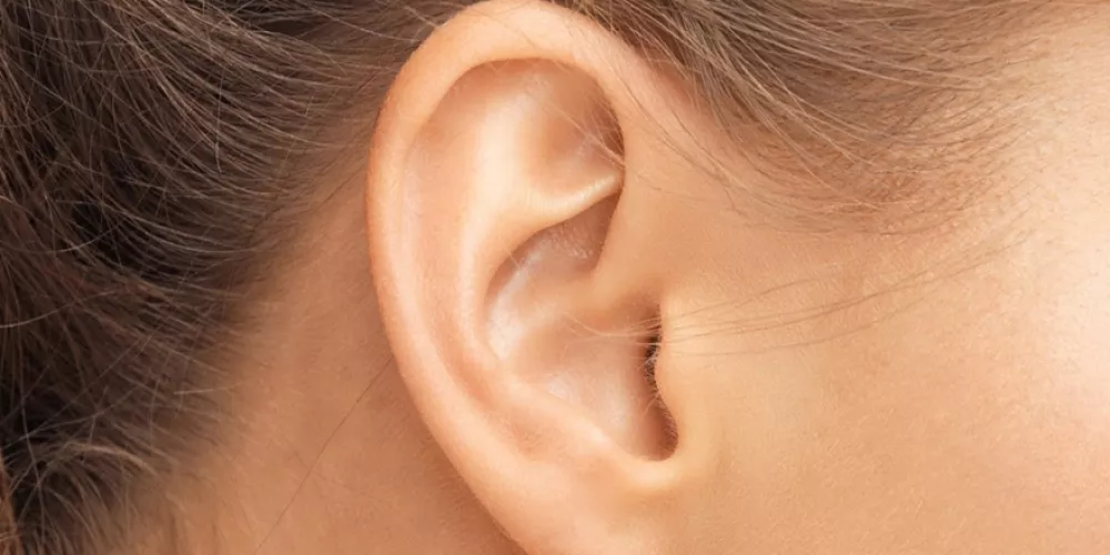 سيلان الأذن اسباب اعراض علاج | الطبي
