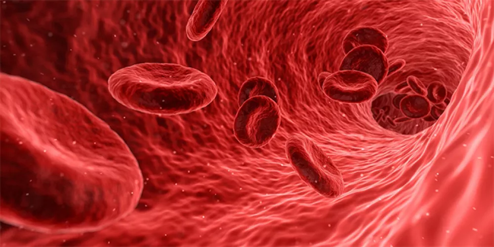 تفاوت خلايا الدم الحمراء