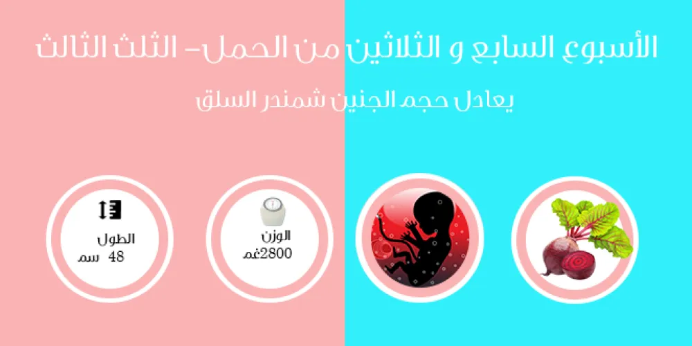 الأسبوع السابع والثلاثون من الحمل- الثلث الثالث