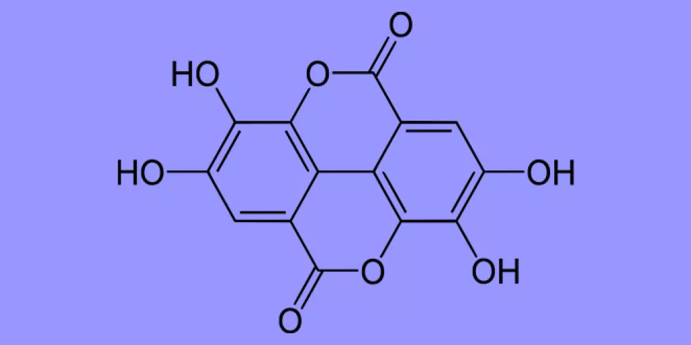 حمض الايلاجيك