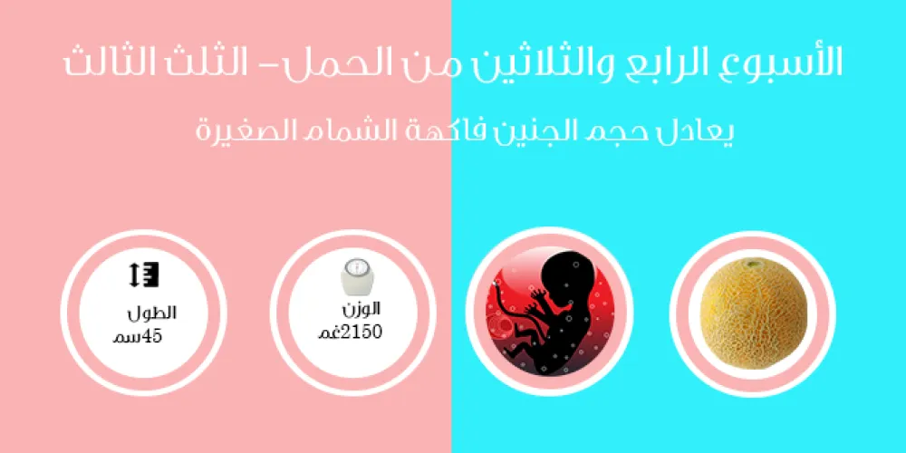 الأسبوع الرابع والثلاثون من الحمل- الثلث الثالث