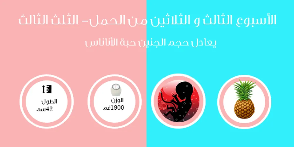 الأسبوع الثالث والثلاثون من الحمل- الثلث الثالث
