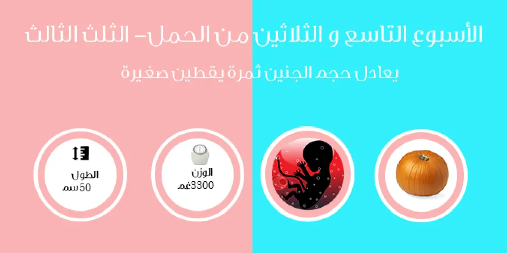 الأسبوع التاسع والثلاثون من الحمل- الثلث الثالث
