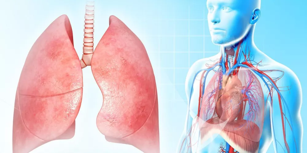 تحسين صحة الجهاز التنفسي وعلاقته بفيروس كورونا | الطبي