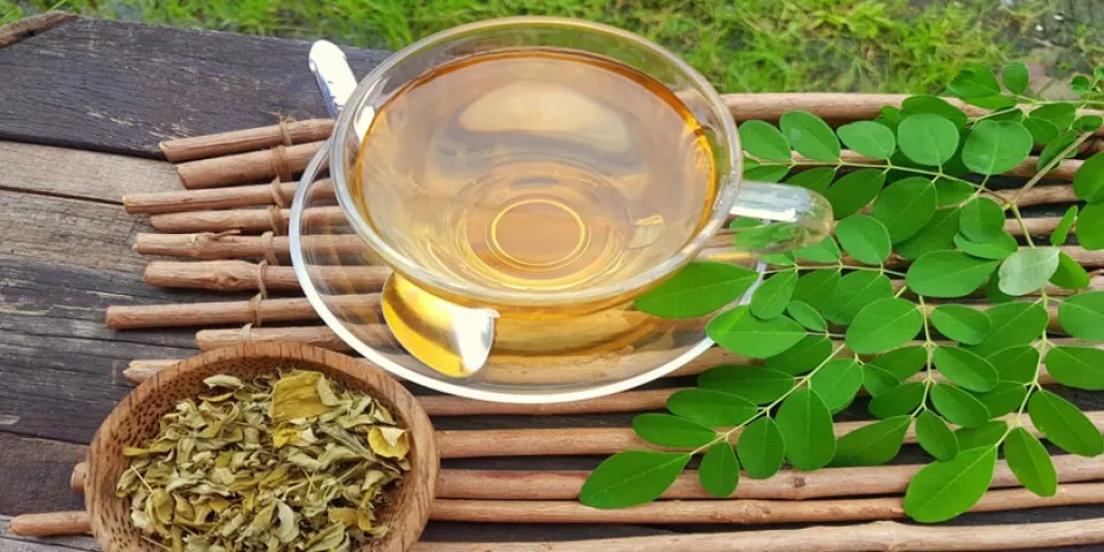 ما هي فوائد شاي المورينجا؟