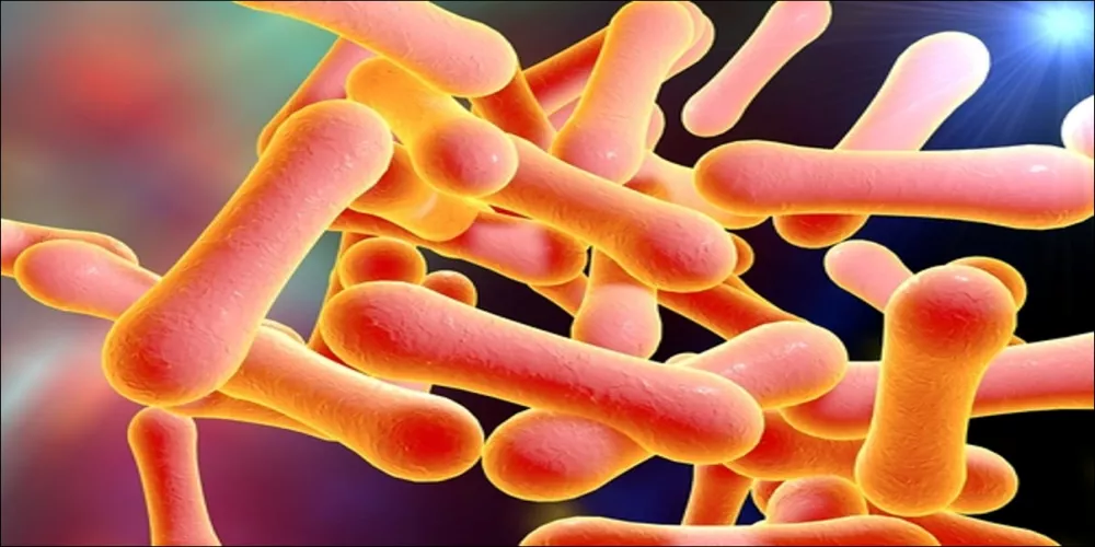 هل يمكن أن تصبح الدفتيريا مقاومة للمطاعيم؟