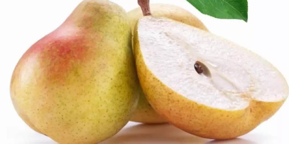 كمثرى