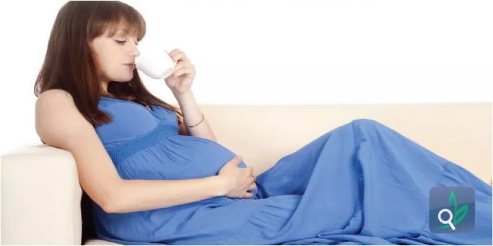  القهوة خلال فترة الحمل مرتبطة بانخفاض وزن المولود