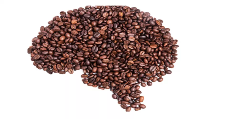 تقارير جديدة مقلقة حول تأثير القهوة على الدماغ