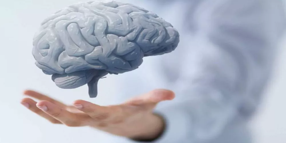 هل يتعدى تأثير السمنة الضرر الجسدي ليصل إلى الدماغ؟ 