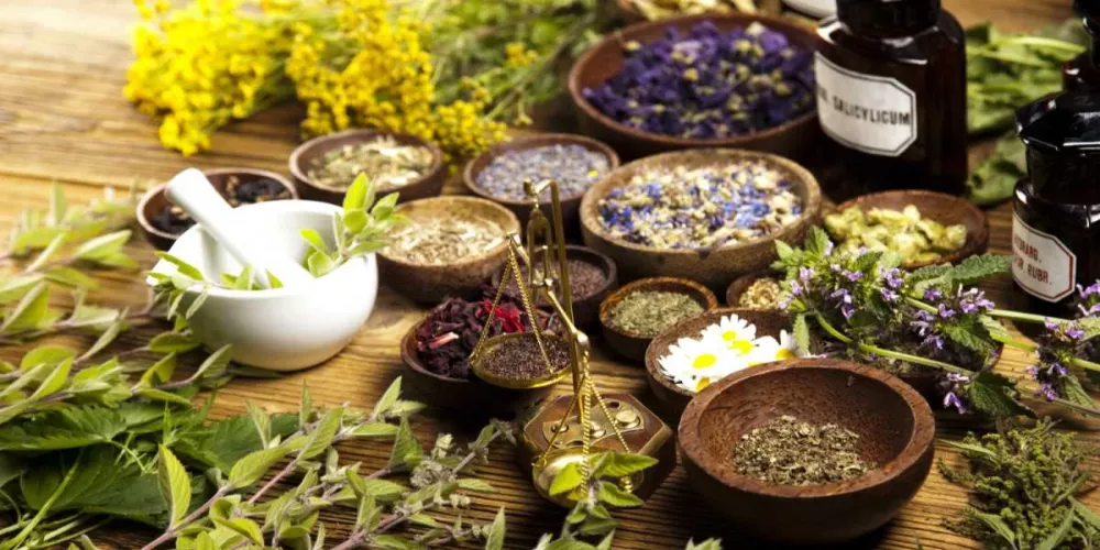 الى حد كبير زبدة توزيع  تعرف على اهم 10 اعشاب طبية واستخداماتها | الطبي
