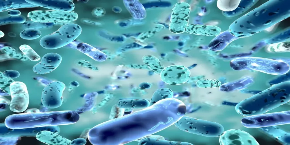 هل توجد علاقة بين البكتيريا المعوية ومتلازمة كورونا طويلة الأمد؟