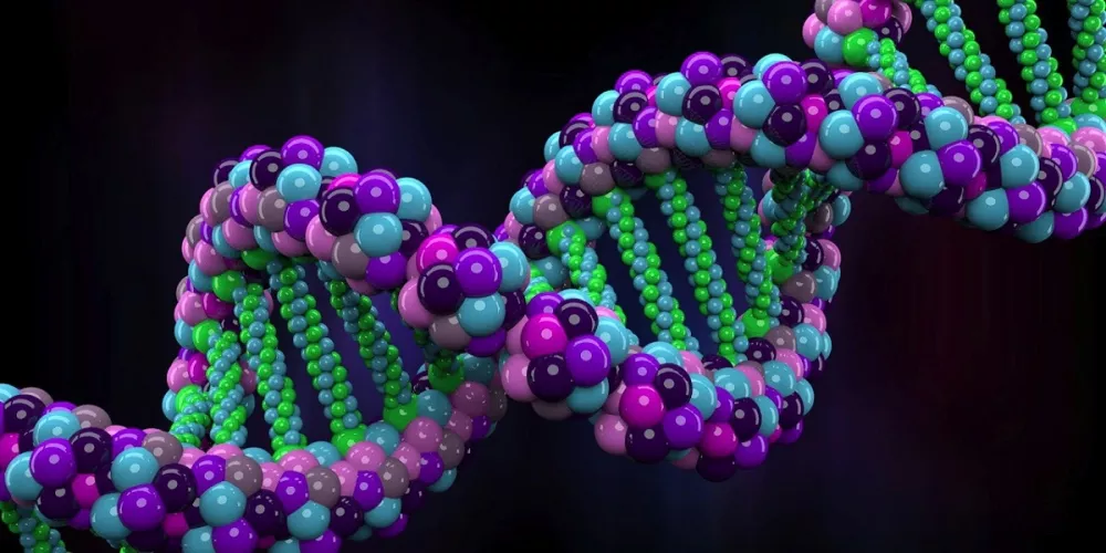لأول مرة يحدد العلماء التسلسل الكامل للجينوم البشري
