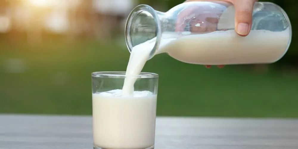 ما تأثير الحليب كامل الدسم على الإدراك؟ | الطبي