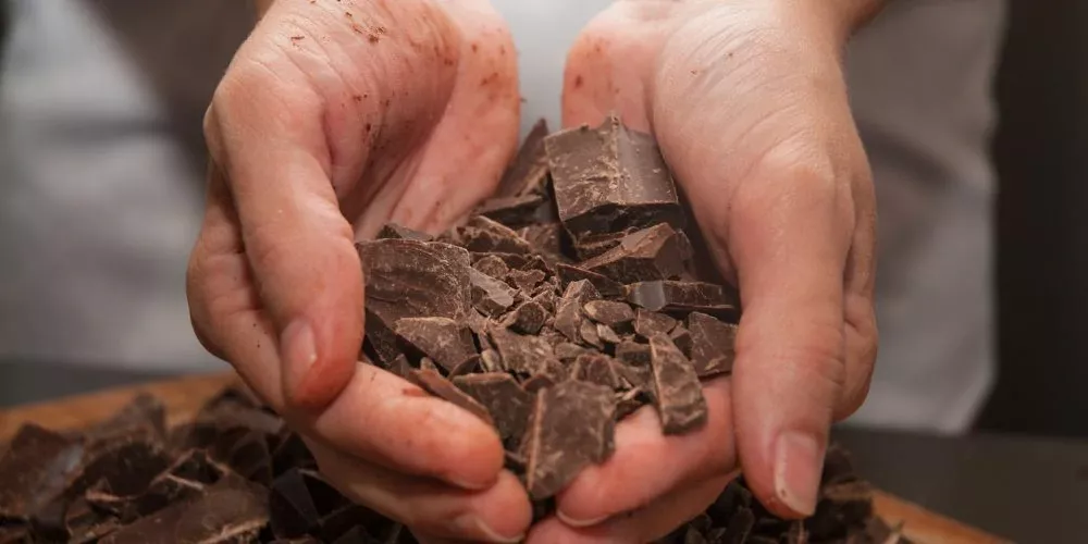 بعد تفشي السالمونيلا.. إغلاق أكبر مصنع شوكولاتة في العالم
