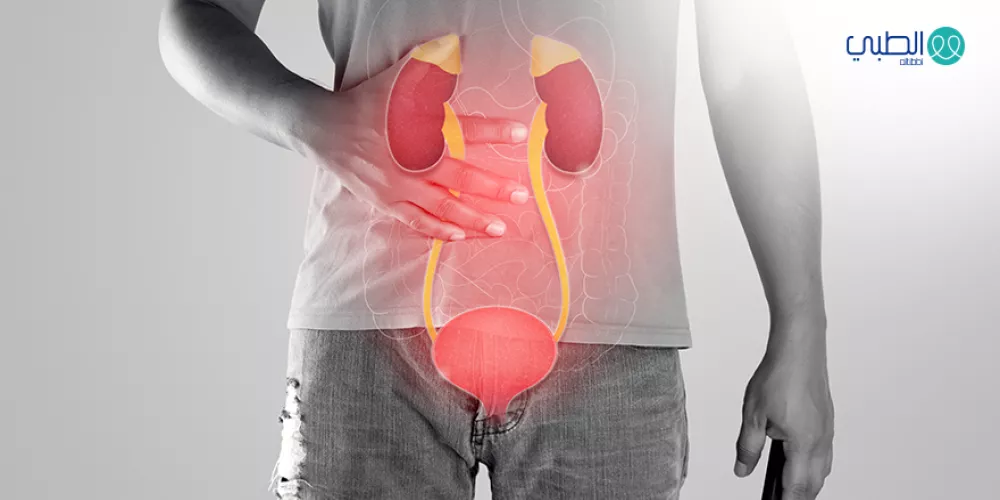 التهاب المسالك البولية