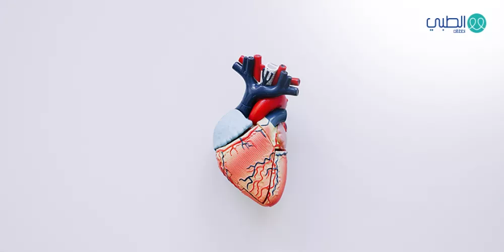 الأدوية المؤثرة في القلب والأوعية الدموية 