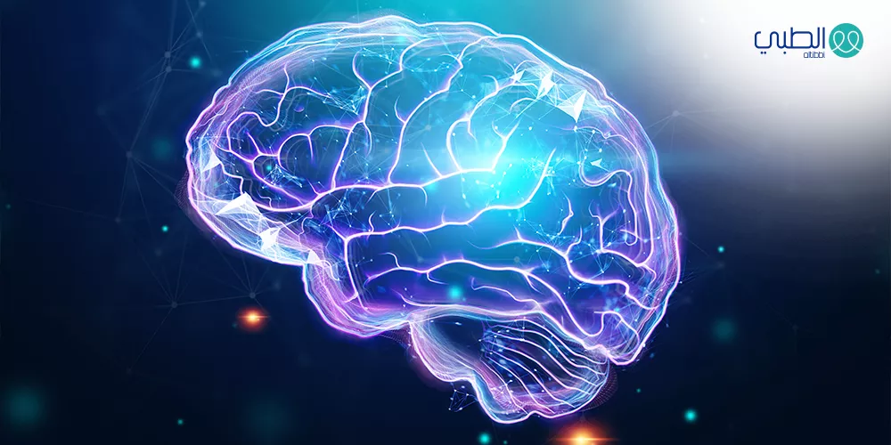 تنشيط الذاكرة و وظيفة الدماغ بالغذاء الصحي