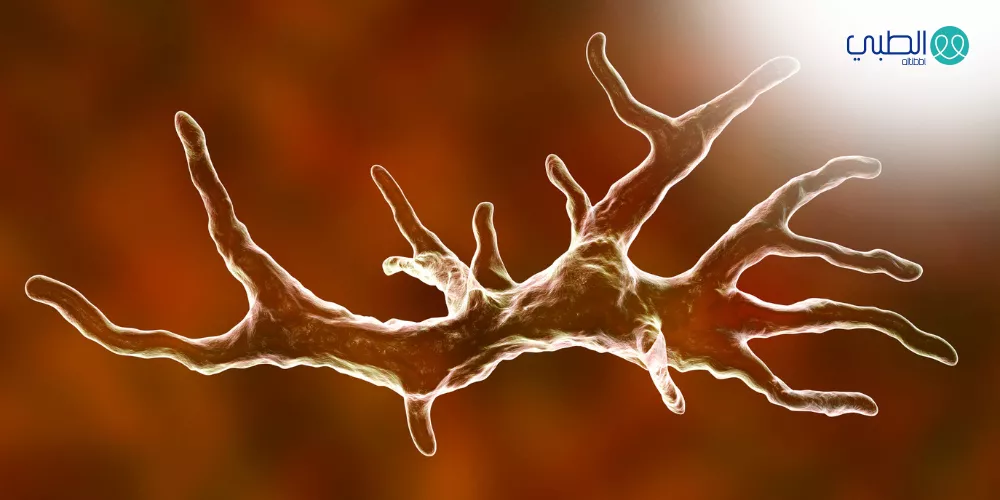 العدوى بالأميبا المعوية