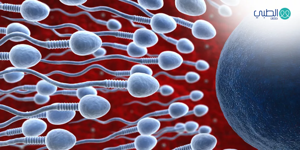 دوالي الحبل المنوي  أسبابها .. وعلاجها  