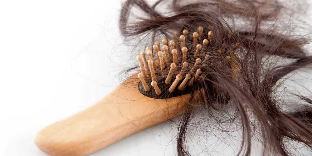 ثدييات قبل الميلاد نشيط  تساقط الشعر: علاج تساقط الشعر بالأعشاب والأدوية | الطبي