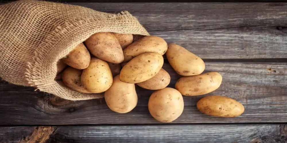 هل تساعد البطاطا في إنقاص الوزن؟