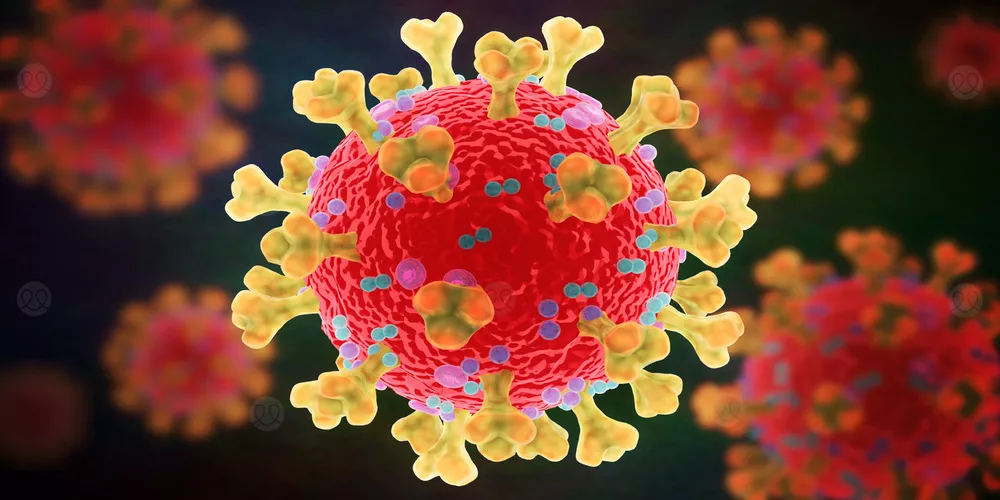 معلومات جديدة حول فيروس كورونا: تم إيجاد الفيروس في الدماغ