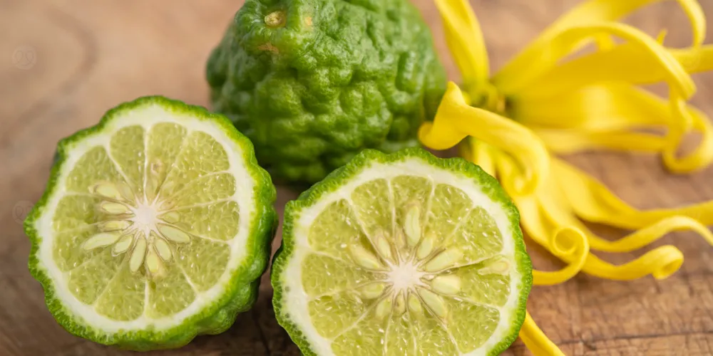 البرغموت: فوائد مذهلة لا تعرفها!