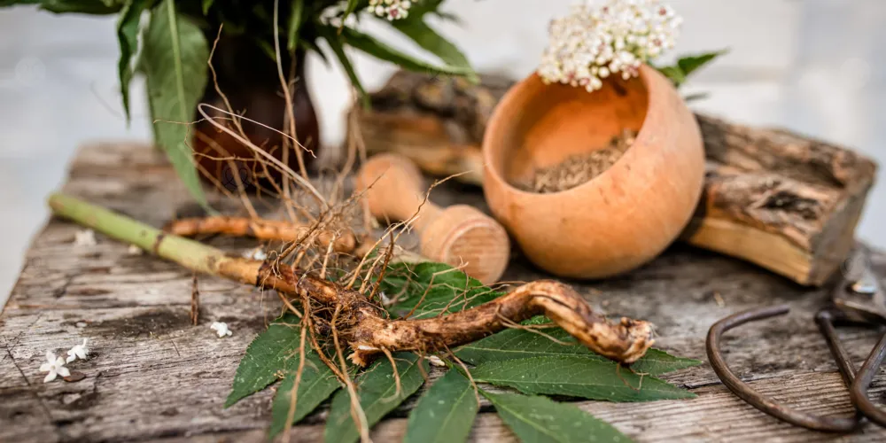 الأشواغاندا للرجال: حل سحري للخصوبة أم مجرد خدعة؟