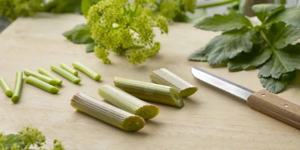 دراسة تكشف: فوائد حشيشة الملاك لآلام الدورة وتنظيم الهرمونات