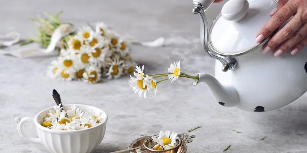 فوائد البابونج للأعصاب والتوتر والأرق