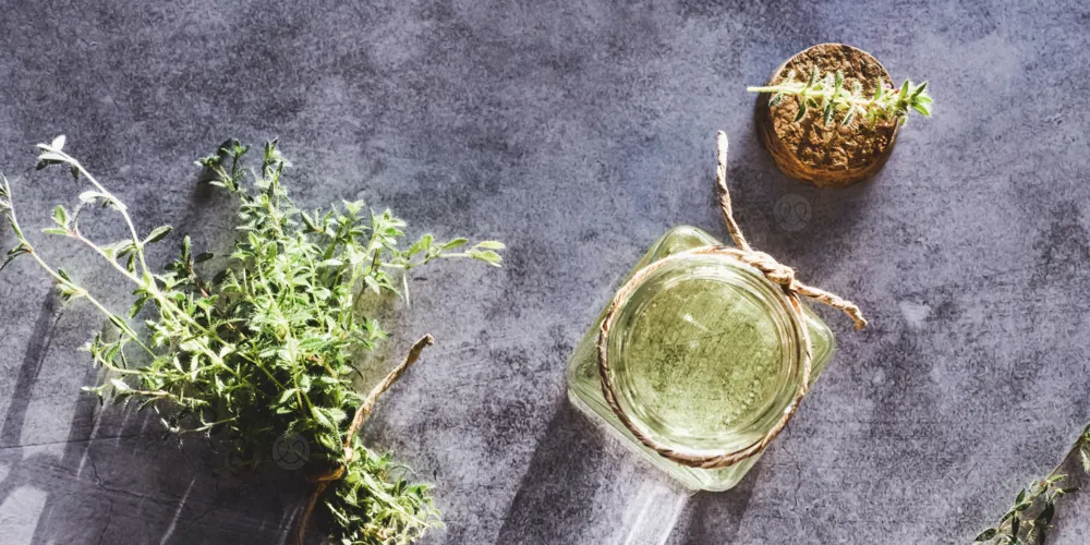 تقنية نانوية تحوّل الزعتر من عشبة تقليدية إلى دواء