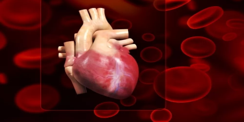 مرضى فشل القلب أكثر عرضة للموت في أجنحة المستشفى العامة